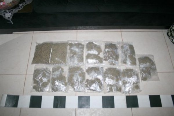 Un tânăr constănţean a fost prins cu 15 plicuri cu etnobotanice